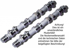 Nockenwellen umschleifen Typ 33 fr Honda CBR 600 RR 03-17